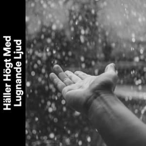 Häller Högt Med Lugnande Ljud - Regnskur