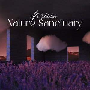 Meditative Nature Sanctuary: Manifesting Abundance - Spiritual Music Collection