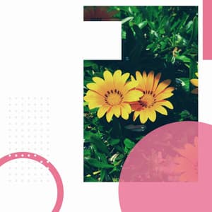 Backdrop for Positive Mindsets - Trumpet and Alto Sax - Easy Listening Morning Music