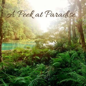 A Peek at Paradise - Pedro Amblar