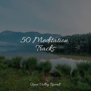 50 Meditation Tracks - Active Baby Music Workshop