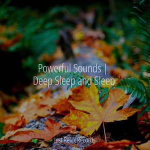 Powerful Sounds | Deep Sleep and Sleep - Meditation Awareness