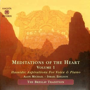 Meditation of the Heart - Alon Michael