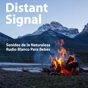 Distant Signal - Sonidos de la Naturaleza Rudio Blanco Para Bebes