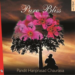 Pure Bliss, Vol. 1 - Pandit Hariprasad Chaurasia