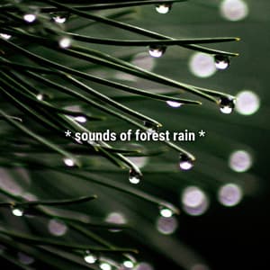 * sounds of forest rain * - Sound Effects Library