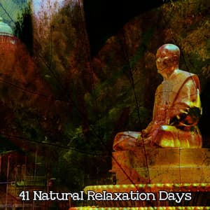 41 Natural Relaxation Days - Meditation Focus