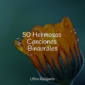 50 Hermosas Canciones Binaurales - Musica Meditaction