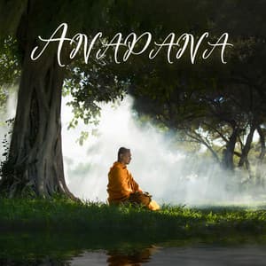 Anapana - Buddha Chillout