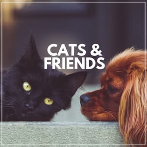 Cats & Friends - Music for Cats Peace