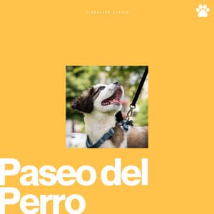 Paseo del Perro - Relajado Musica Relajante para Perros