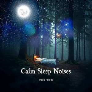 Calm Sleep Noises - Deep Sleep Music Collective
