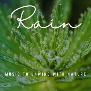 Rainfall Bliss: Music to Unwind with Nature - Natural Woodland Sound