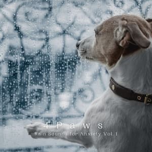 4 Paws: Rain Sounds for Anxiety Vol. 1 - RelaxMyCat