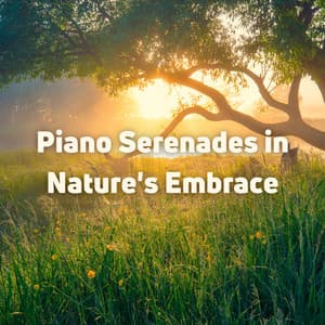 Piano Serenades in Nature's Embrace - Peaceful Pianos