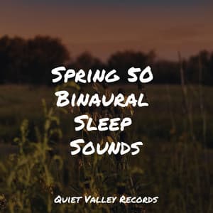 Spring 50 Binaural Sleep Sounds - Sonidos De Lluvia y Tormentas