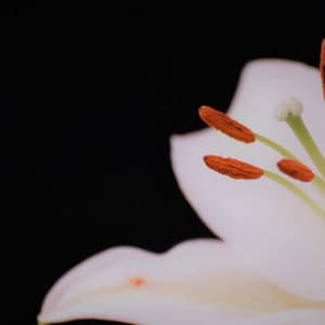 Feelings for Wonderful Noise - Musique pour Travailler Playlist