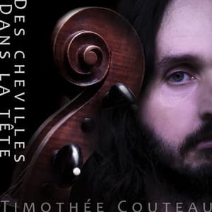 Des chevilles dans la tête - Timothée Couteau - Timothée Couteau
