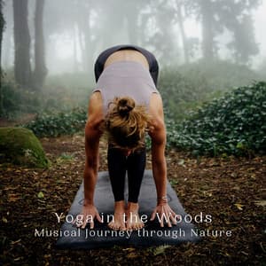 Yoga in the Woods: Musical Journey through Nature - Natural Woodland Sounds