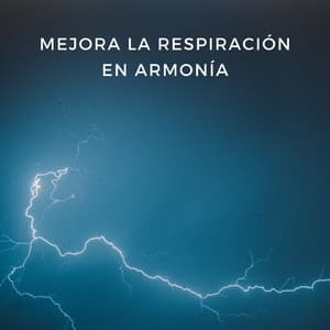 Mejora La Respiración En Armonía - La mejor musica instrumental