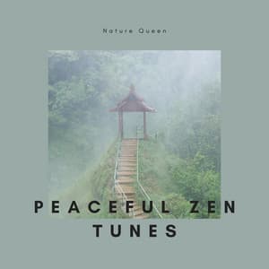 Peaceful Zen Tunes Perfect for Mindful Meditation Practice - Nature Queen