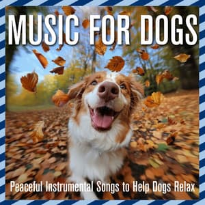 Music for Dogs: Peaceful Instrumental Songs to Help Dogs Relax - Relaxmydog