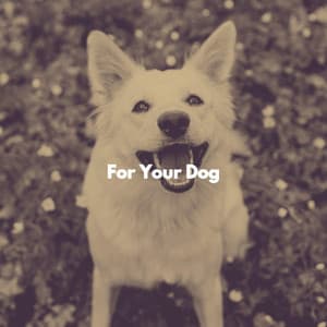 For Your Dog - Classy Dinner Music