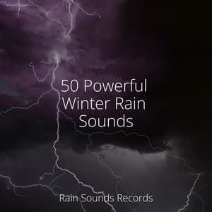 50 Powerful Winter Rain Sounds - Ocean Sounds