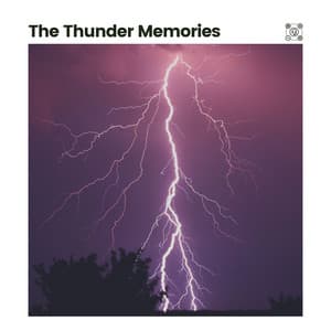 The Thunder Memories - Stormy Station