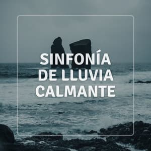 Sinfonía De Lluvia Calmante - La biblioteca de la lluvia