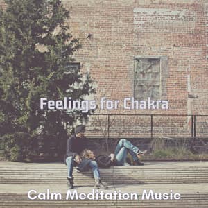 Feelings for Chakra - Calm Meditation Music