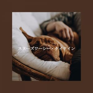 スヌーズワーシー・ケイナイン - Música de Oficina