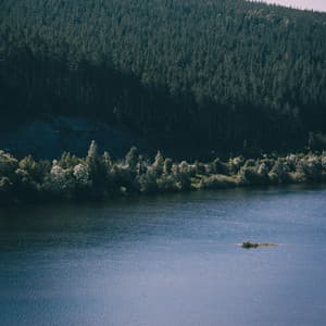 Pink Noise for babies - Sweet Baby Dreams & Noises