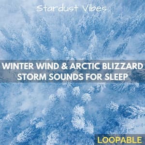Winter Wind & Arctic Blizzard Storm Sounds for Sleep - Stardust Vibes