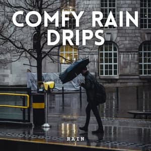 Rain: Comfy Rain Drips - Clam Pass