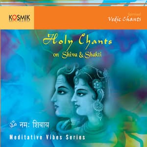 Holy Chants On Shiva And Shakti - Stephen Devassy