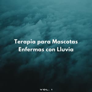 Terapia Para Mascotas Enfermas Con Lluvia Vol. 1 - Ricky sonido de lluvia