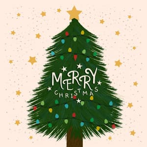 Merry Christmas! The Best Christmas Carols Collection for Happy Christmas & Happy New Year - The Best Christmas Carols Collection