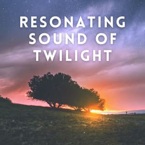 Resonating Sound of Twilight - White Noise Healing Center