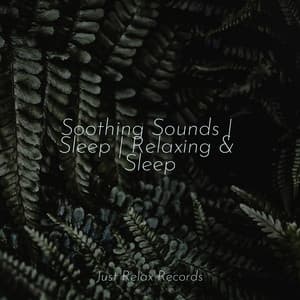 Soothing Sounds | Sleep | Relaxing & Sleep - Meditation Relaxation Club