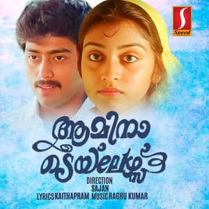 Aamina Tailors - Raghu Kumar