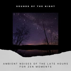 Ambient Noises of the Late Hours for Zen Moments - Sounds of the Night