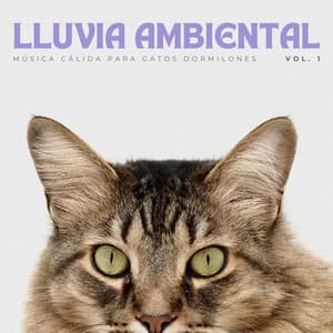 Lluvia Ambiental: Música Cálida Para Gatos Dormilones Vol. 1 - Efectos especiales de lluvia del bosque