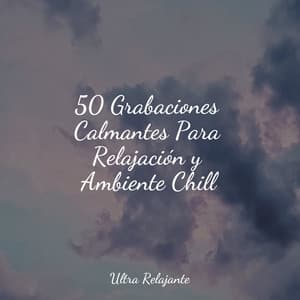 50 Grabaciones Calmantes Para Relajación y Ambiente Chill - Entrenamiento Autògeno y Meditación Specialistas