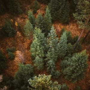 Ruido de sueño marrón suave para dormir - Ruido Blanco para Dormir