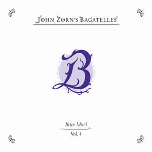 The Bagatelles Vol. 4 - John Zorn
