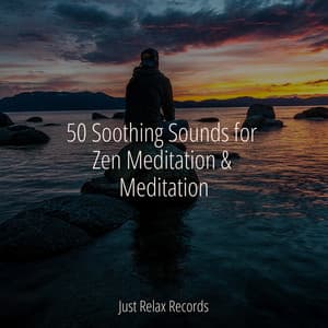 50 Soothing Sounds for Zen Meditation & Meditation - Música Relajante para Bebés