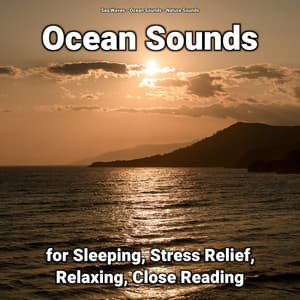 Ocean Sounds for Sleeping, Stress Relief, Relaxing, Close Reading - Sea Waves