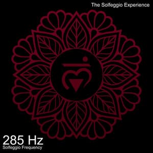 285 Hz Rejuvenated Energy Fields - The Solfeggio Experience