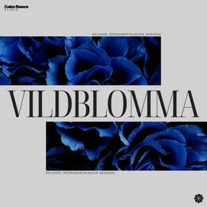 Vildblomma - Helande Instrumentalmusik Akademi